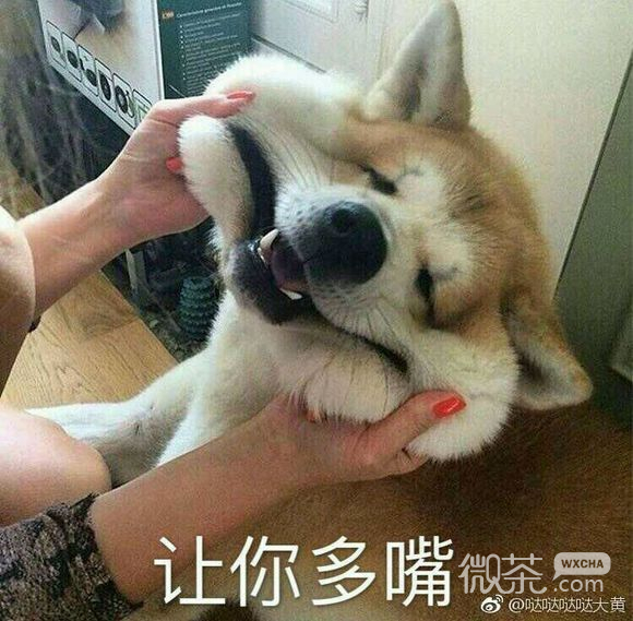 闭嘴微信恶搞群聊杂图表情包