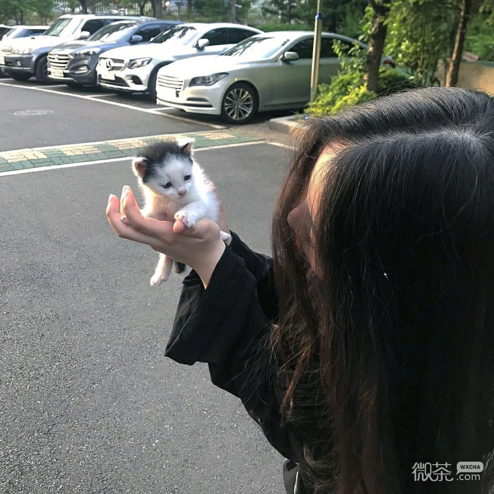 微信粉嫩文艺阳光女头