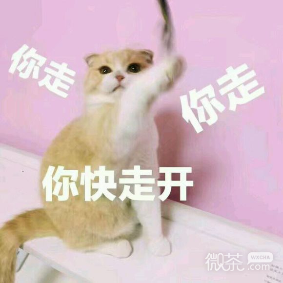 无奈微信恶搞群聊杂图表情包