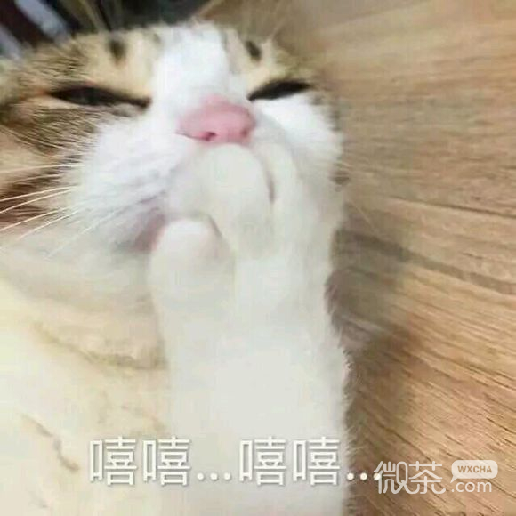 无奈微信恶搞群聊杂图表情包
