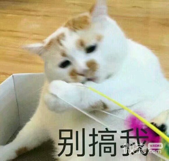 无奈微信恶搞群聊杂图表情包