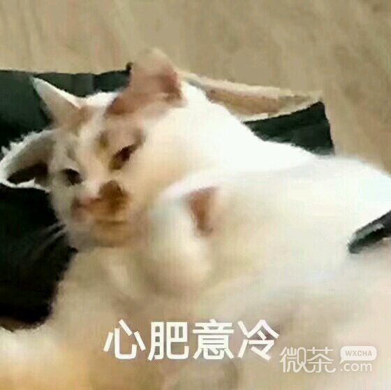无奈微信恶搞群聊杂图表情包