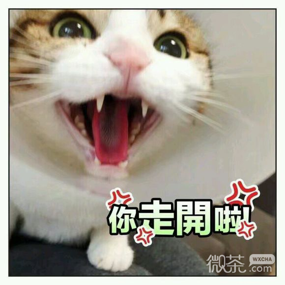 无奈微信恶搞群聊杂图表情包