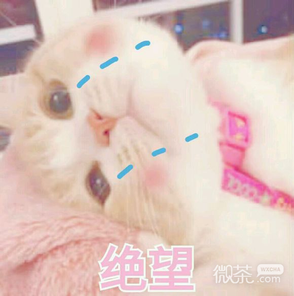 无奈微信恶搞群聊杂图表情包