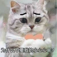 无奈微信恶搞群聊杂图表情包