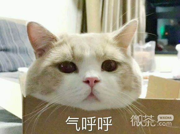 无奈微信恶搞群聊杂图表情包