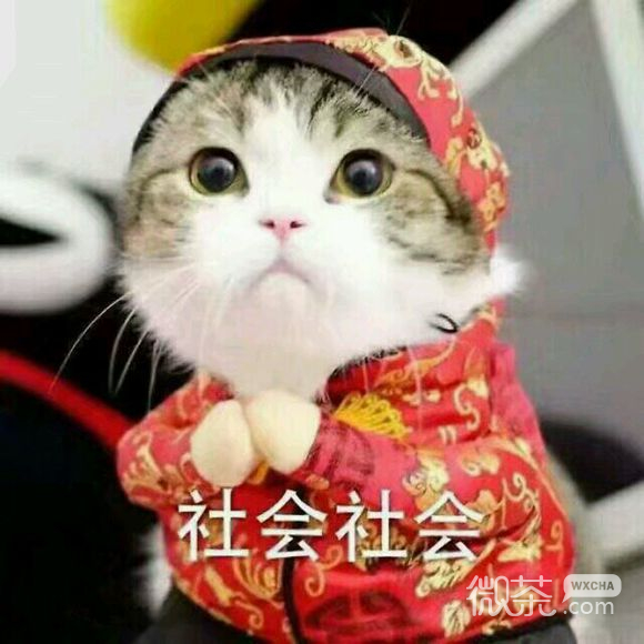 无奈微信恶搞群聊杂图表情包
