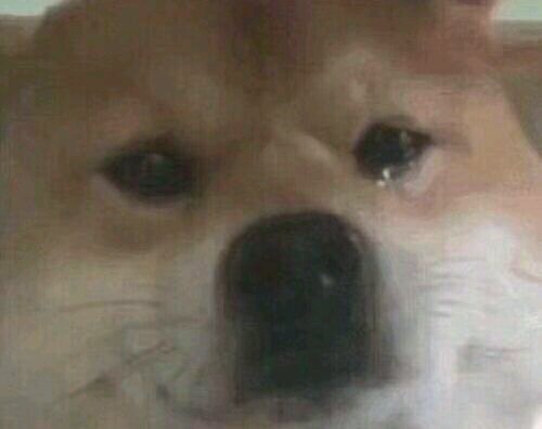 自杀微信恶搞群聊杂图表情包