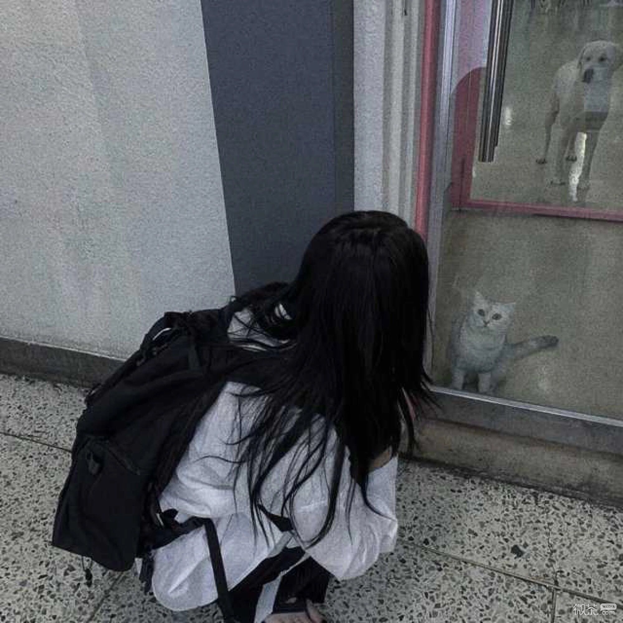 微信清纯粉嫩迷人女头