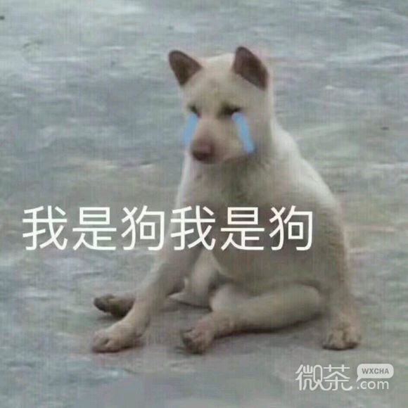我哭了微信恶搞群聊杂图表情包