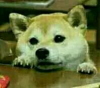 fuck微信恶搞表情包