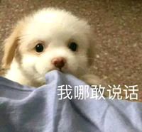 微信近期斗图恶搞表情包2019/7/12