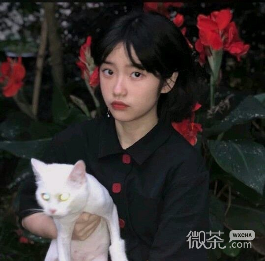 微信清新激萌时尚女头