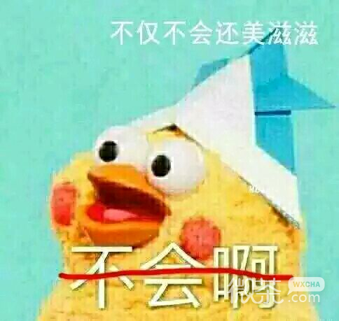 微信近期斗图恶搞表情包2019/7/12（二）