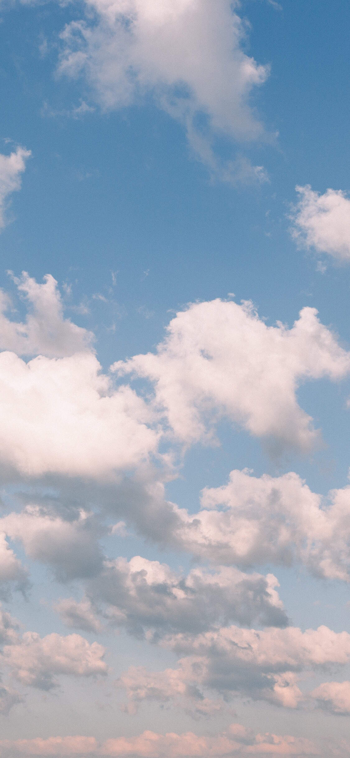 清新梦幻风景静物手机壁纸