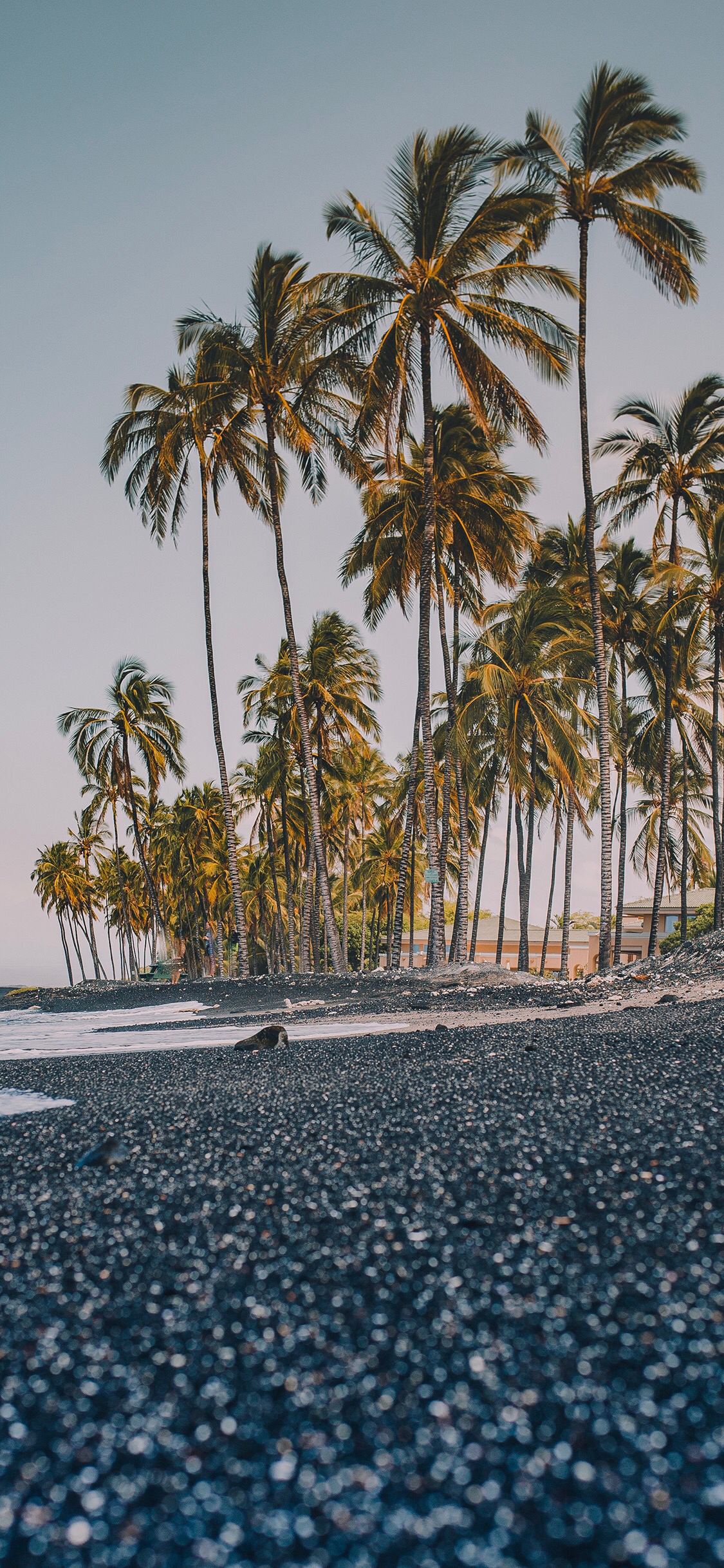 清新梦幻风景静物手机壁纸