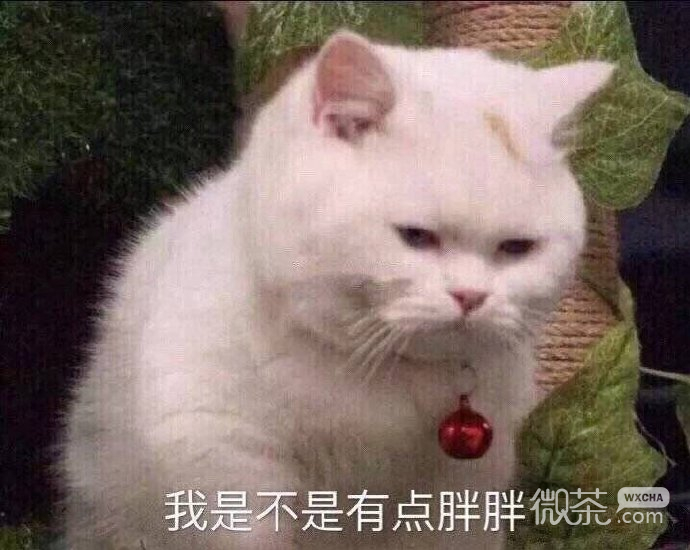 微信爆笑恶搞群聊表情包合集