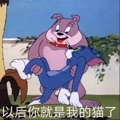 微信爆笑恶搞群聊表情包合集