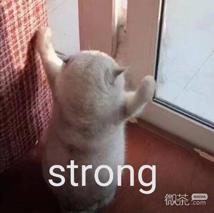 微信爆笑恶搞群聊表情包合集