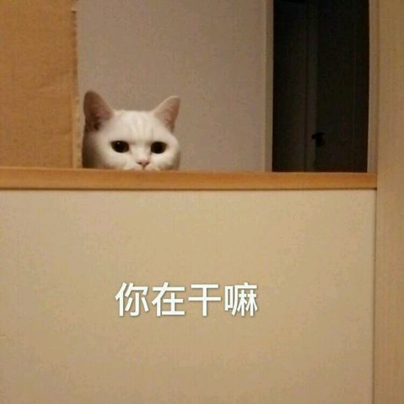 fuck微信恶搞表情包