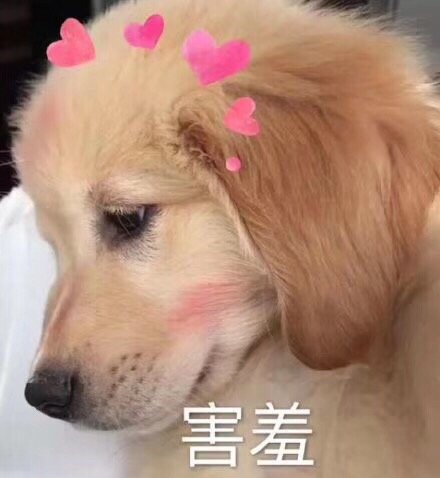 微信爆笑恶搞群聊表情包合集