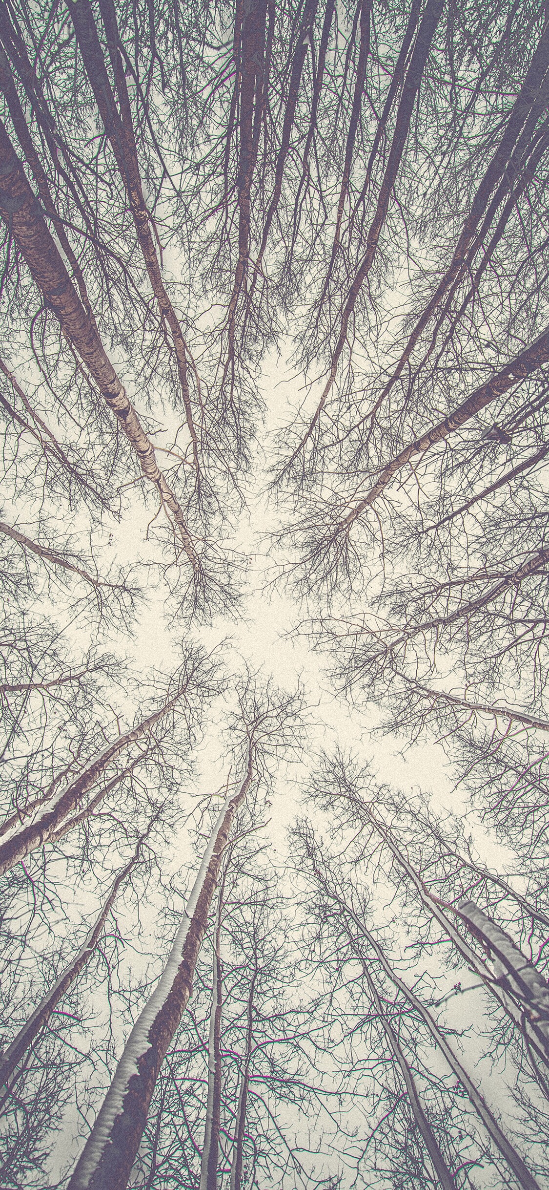 清新梦幻风景静物手机壁纸