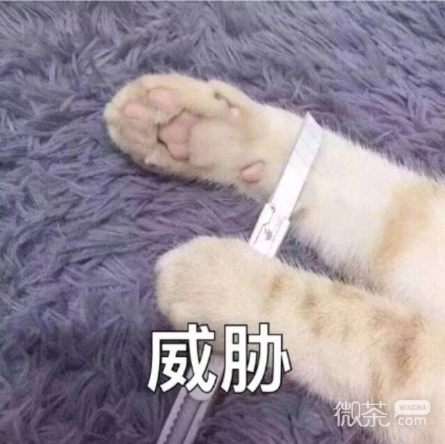 微信爆笑恶搞群聊表情包合集