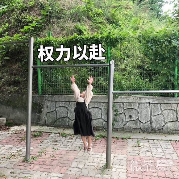 微信近期斗图恶搞表情包2019/7/12