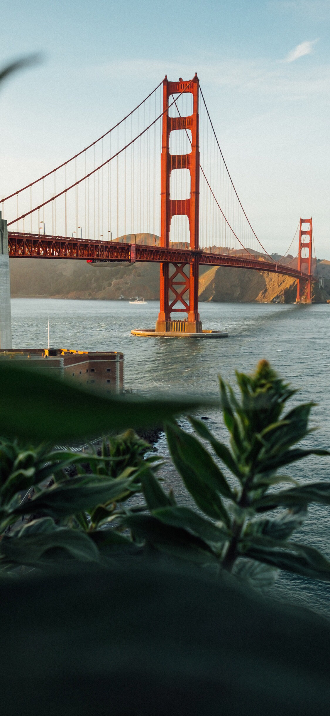 清新梦幻风景静物手机壁纸