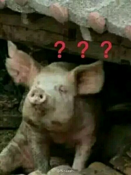 fuck微信恶搞表情包