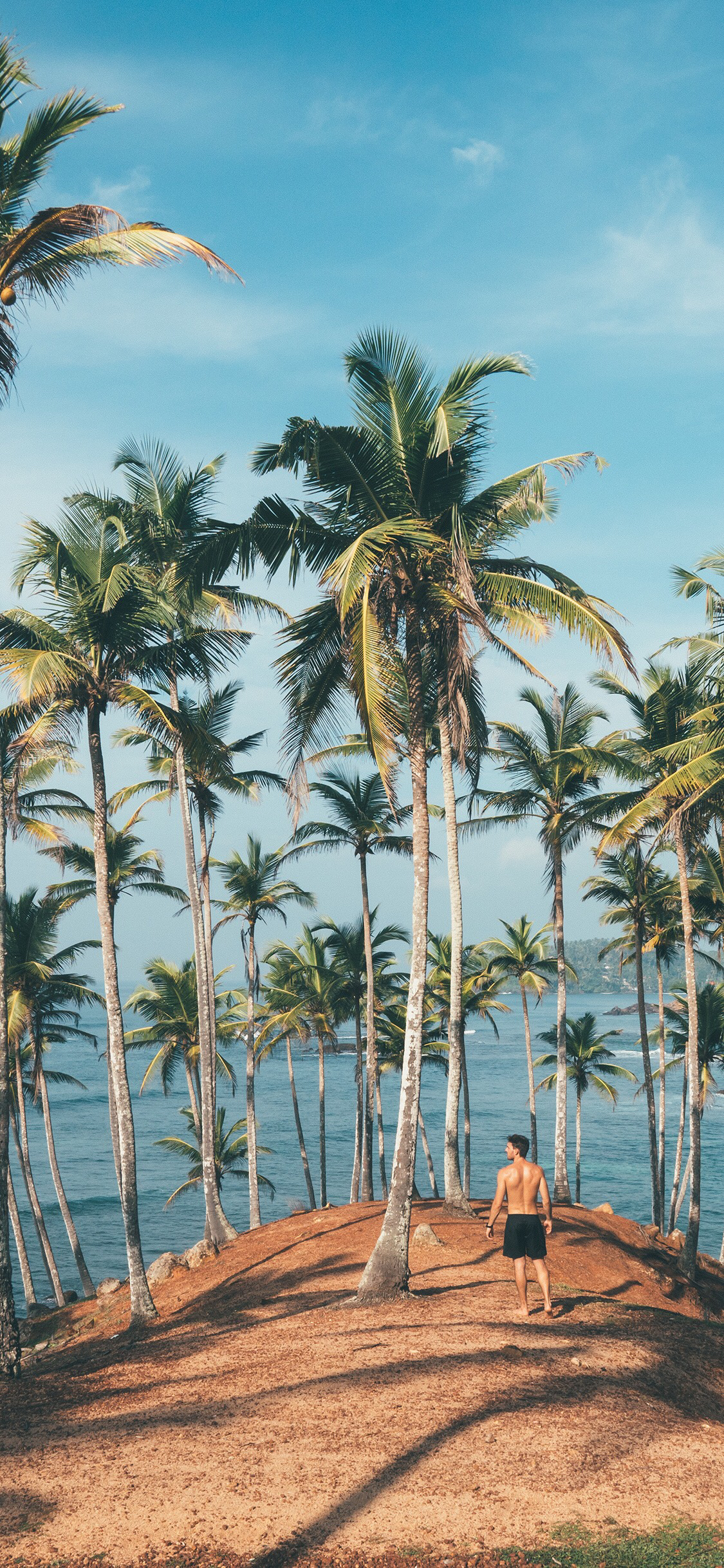 清新梦幻风景静物手机壁纸