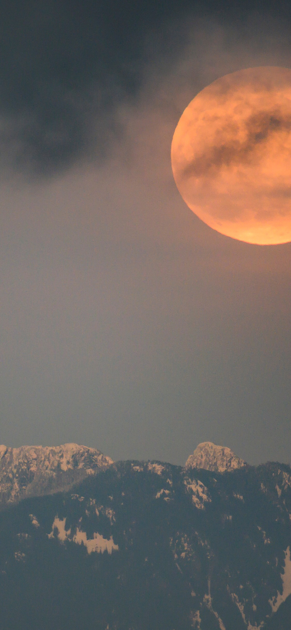 清新梦幻风景静物手机壁纸