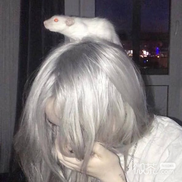 微信非主流霸气好看欧美女头
