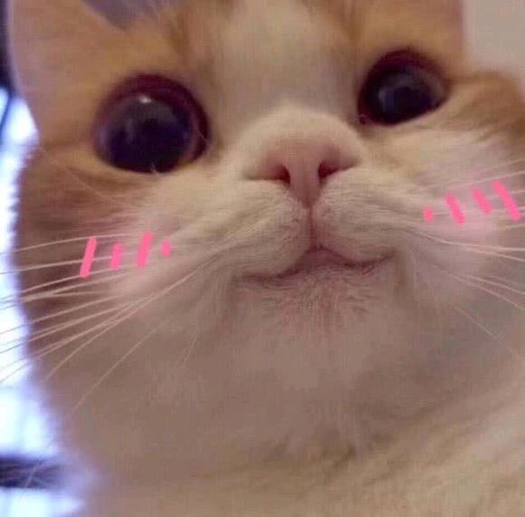 色眯眯微信恶搞群聊杂图表情包