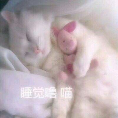 不微信搞怪群聊杂图表情包