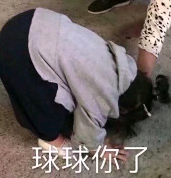 微信近期斗图恶搞表情包2019/7/15