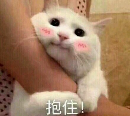 不微信搞怪群聊杂图表情包