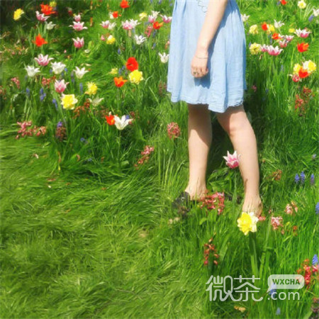 微信绿色小清新森系朋友圈配图
