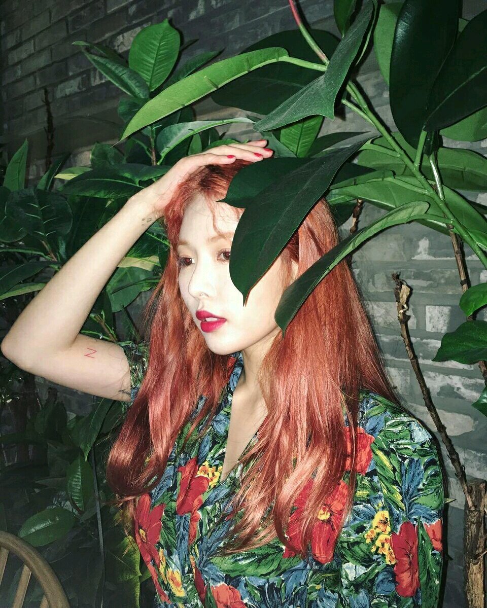 微信泫雅手机壁纸