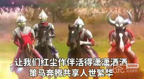 微信近期斗图恶搞表情包2019/7/15