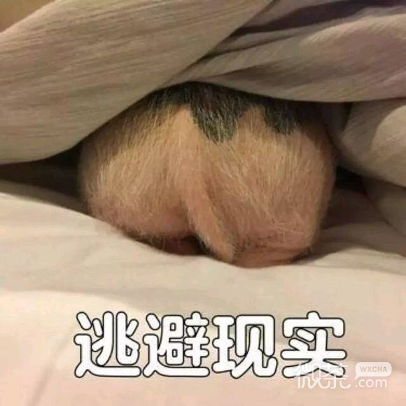 微信近期斗图恶搞表情包2019/7/15
