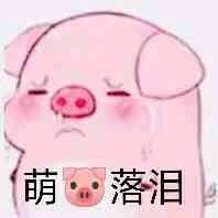 卑微恶搞微信表情包