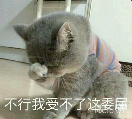 不微信搞怪群聊杂图表情包