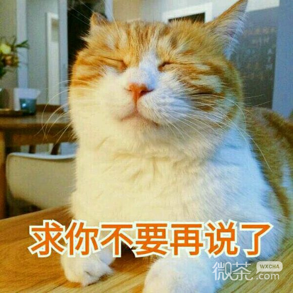 不微信搞怪群聊杂图表情包