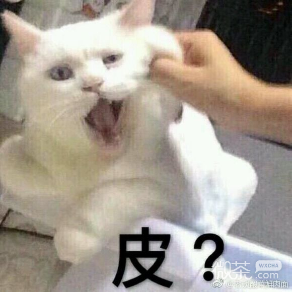 不微信搞怪群聊杂图表情包