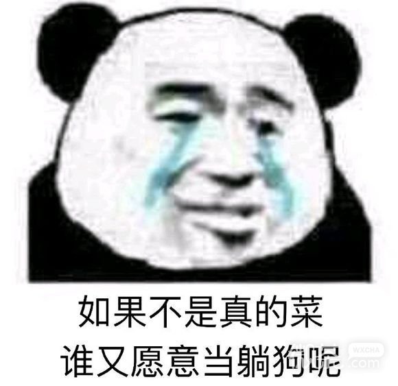 卑微恶搞微信表情包