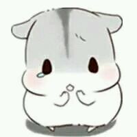 微信逗比搞怪高糊杂图表情包