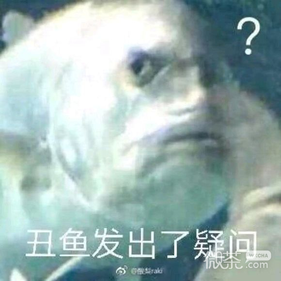 微信近期斗图恶搞表情包2019/7/15