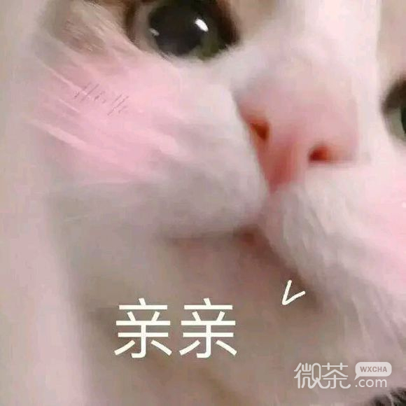 微信近期斗图恶搞表情包2019/7/15