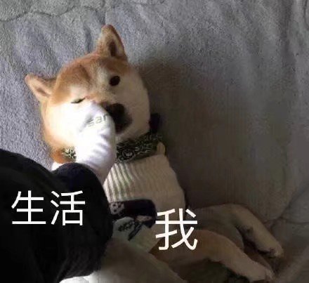 色眯眯微信恶搞群聊杂图表情包